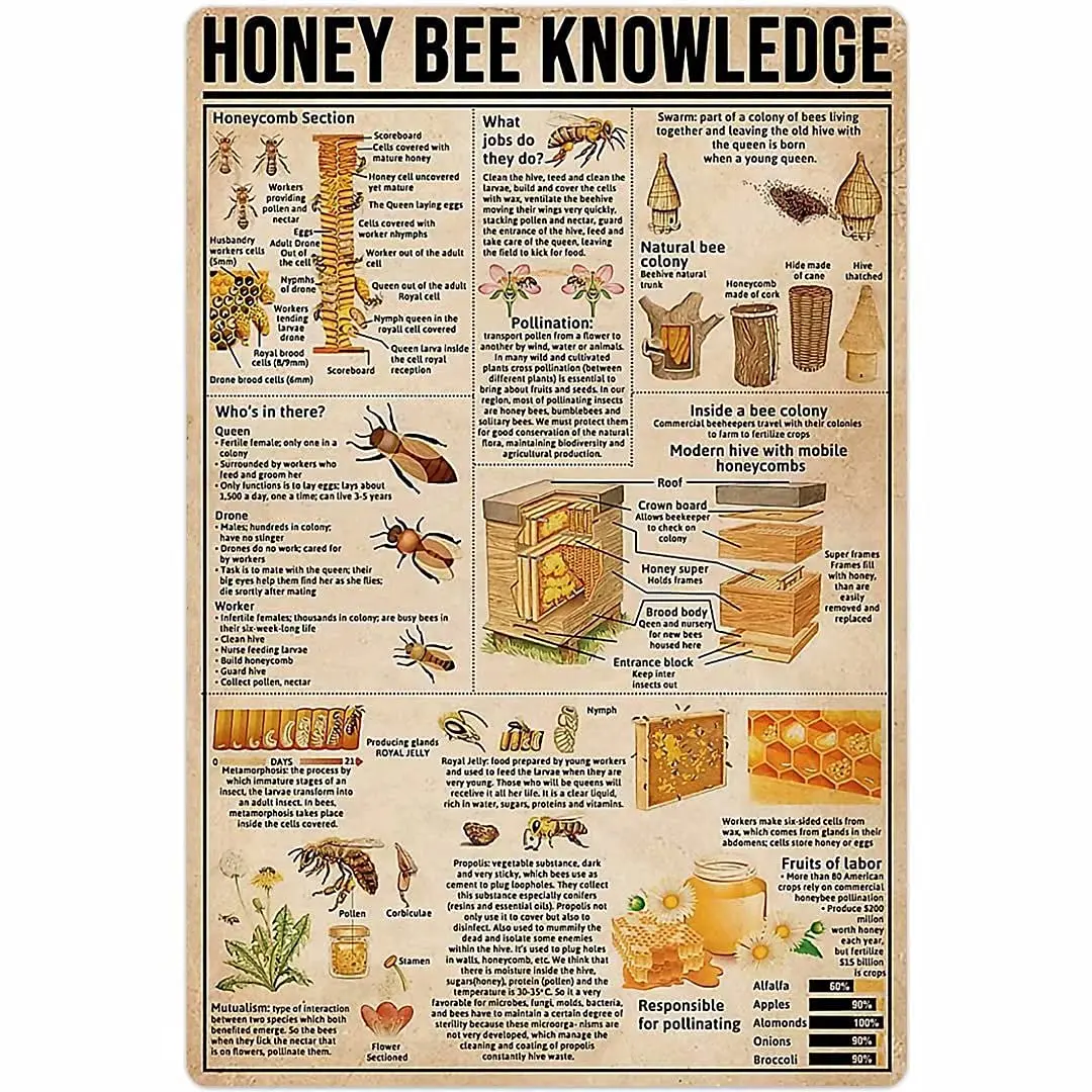 PPFINE Познаване на Анатомията Медоносной Пчелите Метална Лидице Знак Медоносная Пчела Ретро Стенен Плакат на Арт-Деко Селска Къща Кухня Клубна Плоча, 8x12 См
